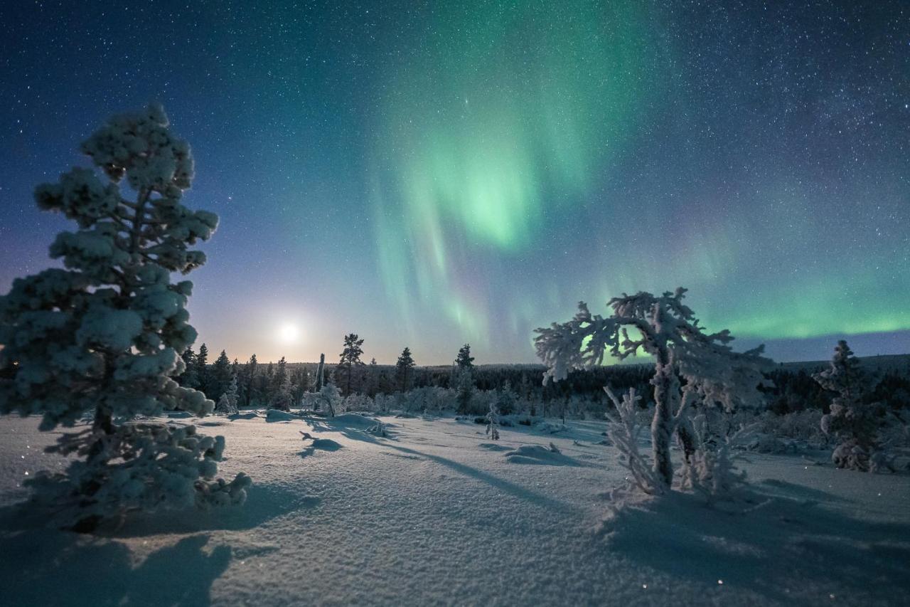 萨利色尔卡Arctic Sky Lapland别墅 外观 照片